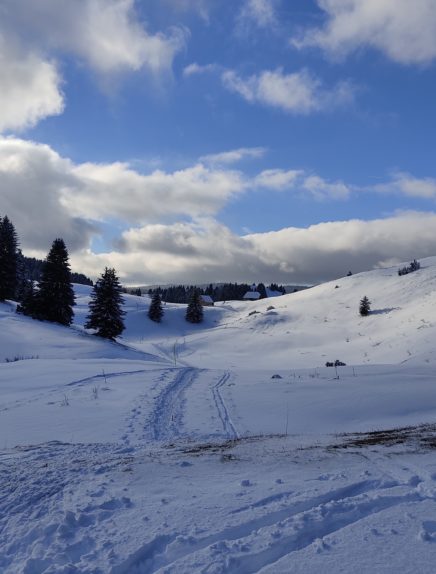 Randonnées raquettes : La Piste du Trappeur