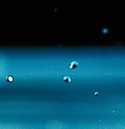 Exposition : Exp'eau