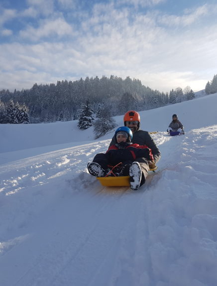 Descente luge