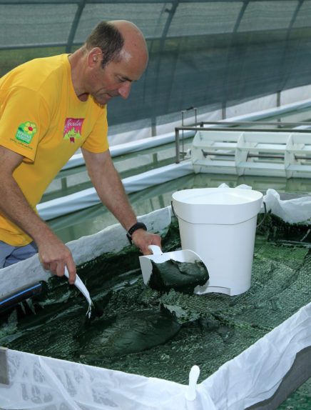 Visite : La Spiruline des Bauges