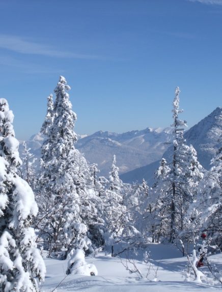 Snowshoeing