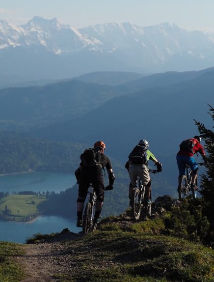 Alpes In Bike