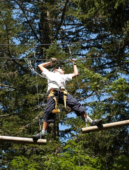 D'un arbre à l'autre - Parc aventure forestier