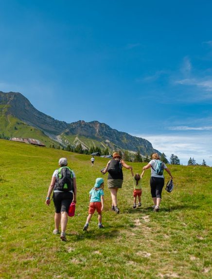Gli chalet Fullie e Cha in un anello da École