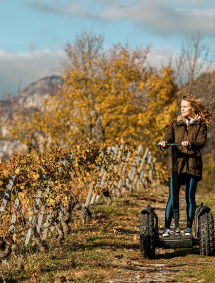 Balade en Segway dans les vignobles et dégustation