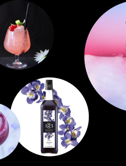 Atelier : Venez apprendre à faire vos cocktails avec les sirops originaux Routin