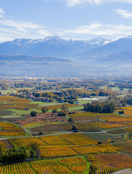 Les vignerons de Cœur de Savoie et Chambéry Montagnes vous accueillent pour le Fascinant Week-end