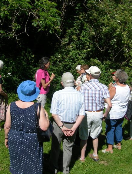 Jardin pédagogique de l'Herbier de la Clappe