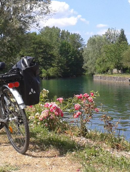 Prolynx Sports - Rental of electric bicycles (VTC)