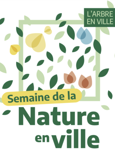 Animation : Relations entre champignons, lichens et arbres - Semaine de la nature en ville 2024