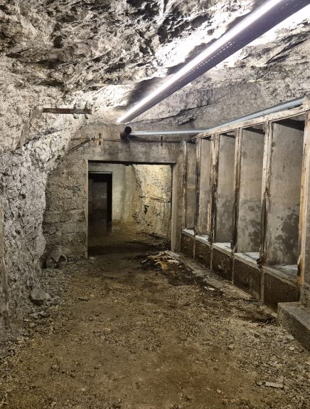 Visite thématique - Abri antiaérien Nézin - Albert Perriol
