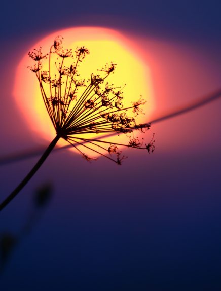 Balade nocturne photo : Coucher de soleil