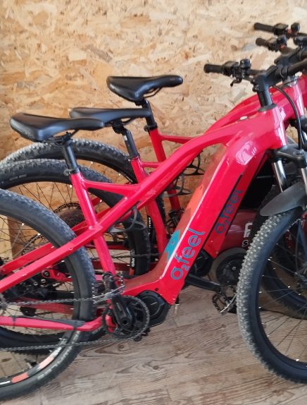Osmoz : noleggio bici
