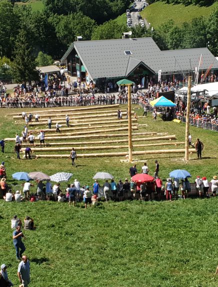 35ème Concours de bûcherons