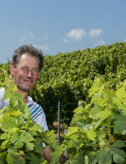 Apéro'vignes aux Fruits de la Treille