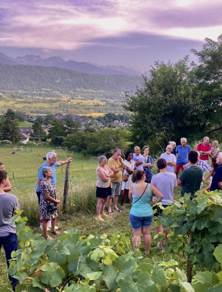 Apéro'vignes à la Maison Philippe Grisard