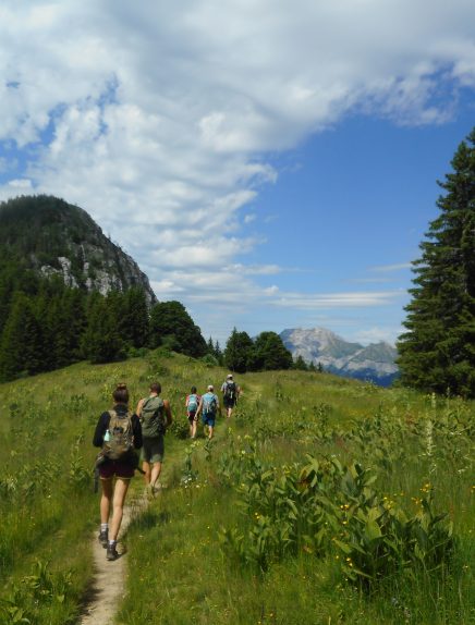 Stage découverte des plantes sauvages en montagne