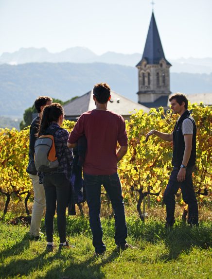 Apéro'vignes au Domaine de l'Idylle