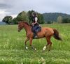 Stages d'équitation - vacances de printemps