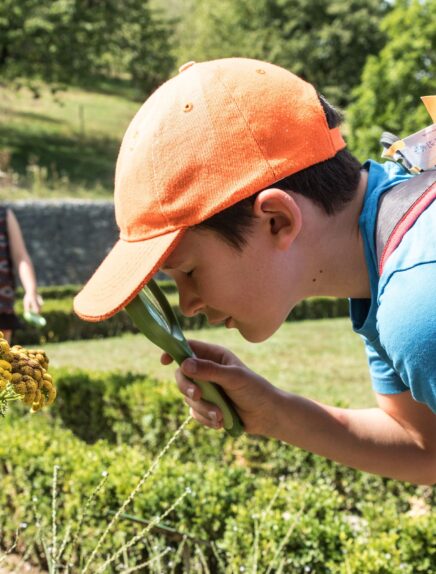 Le monde mystérieux des lichens &#8211; Rendez-vous aux jardins