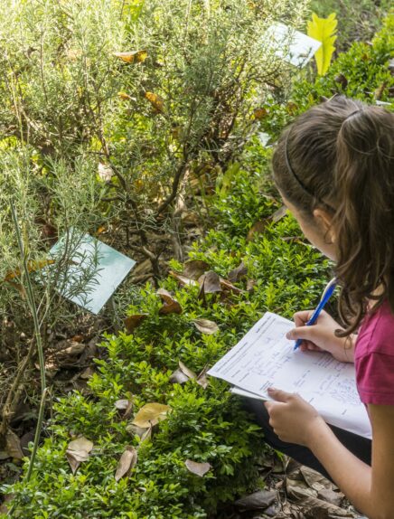 Animation libre 7-12 ans : Les mots des Charmettes
