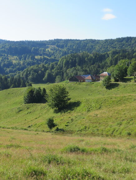 Rencontre à l'alpage de la Cluse : visite guidée