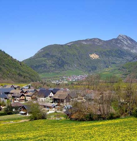 Fête de la mi-Août : vide-grenier, repas et bal