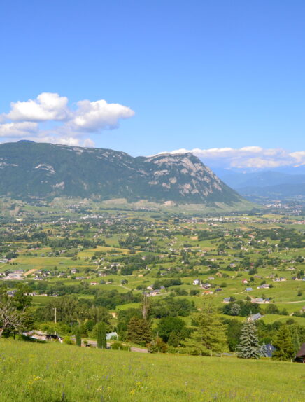 Sortie en car : La Grande Chartreuse et le secret des plantes